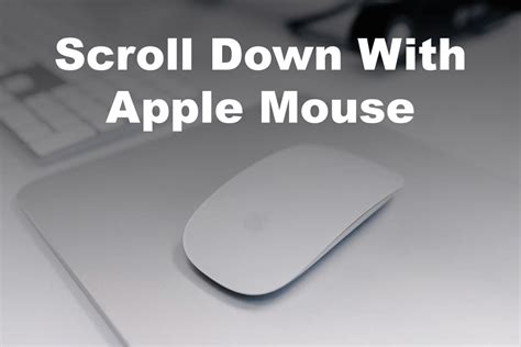 Keeping it Clean: Maintaining the Apple Magic Mouse in Pristine Condition
